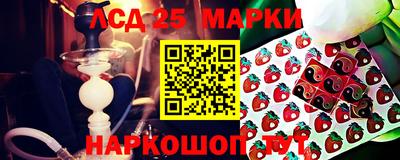 гидропоника Аргун
